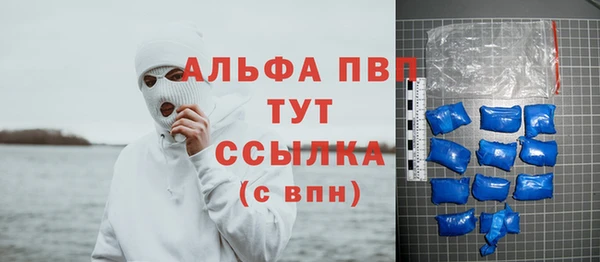 гашик Алексин