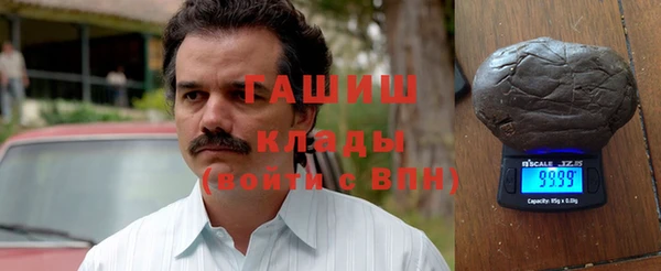 гашик Алексин