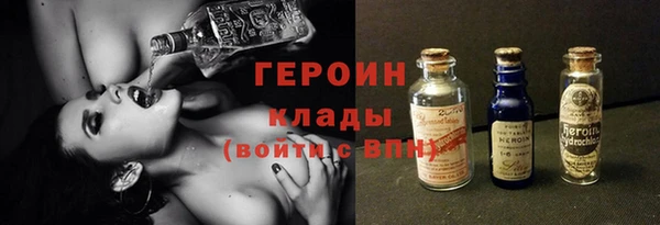 гашик Алексин