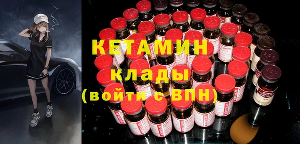гашик Алексин
