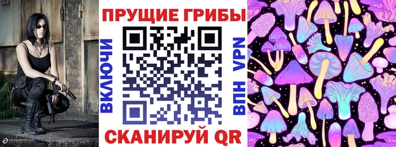 наркота  Цимлянск  Галлюциногенные грибы прущие грибы 